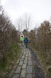 活在书里活在世界里